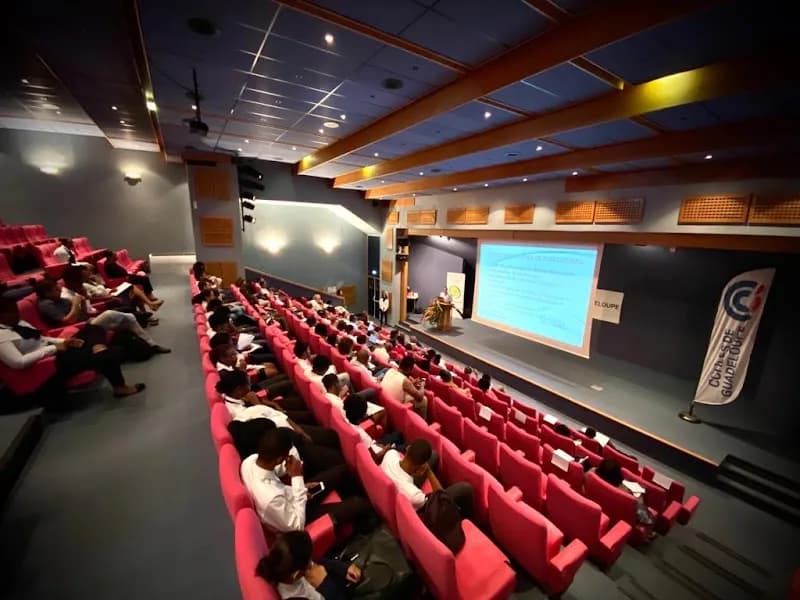 Safir & Melon - photo 3