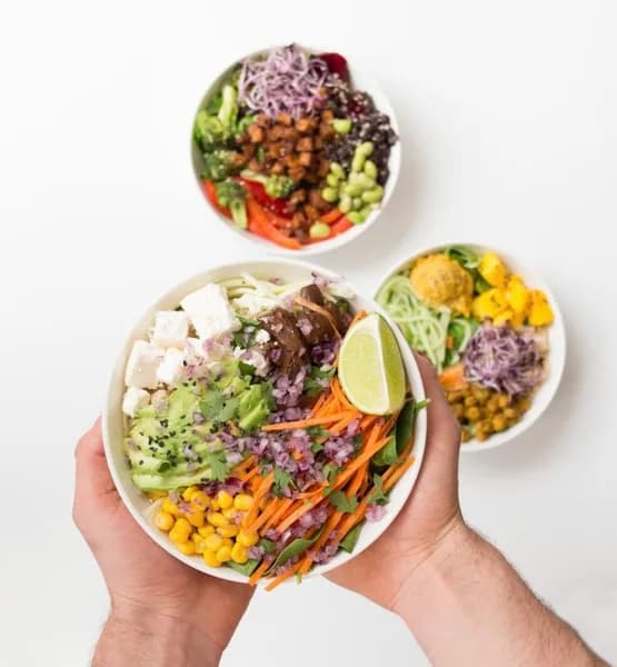 Saladerie Green is Better Coeur de Jarry - photo 4