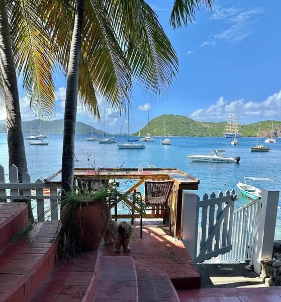 Saladerie Le Green’s Jarry - photo 2