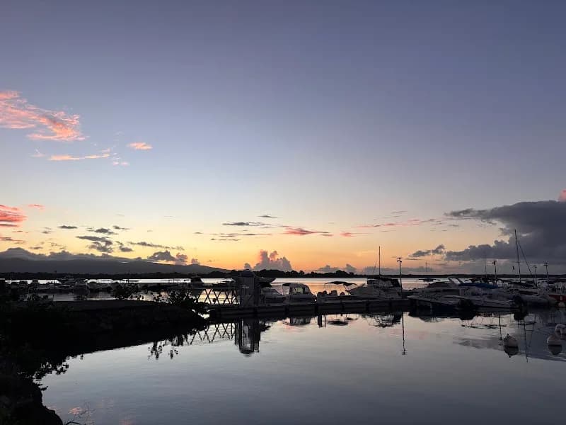 Tableau de Bord - photo 2