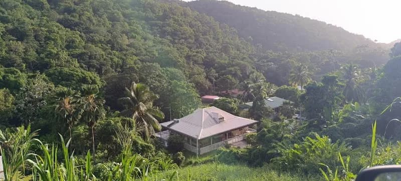 Taxi Art Baie-Mahault - photo 4