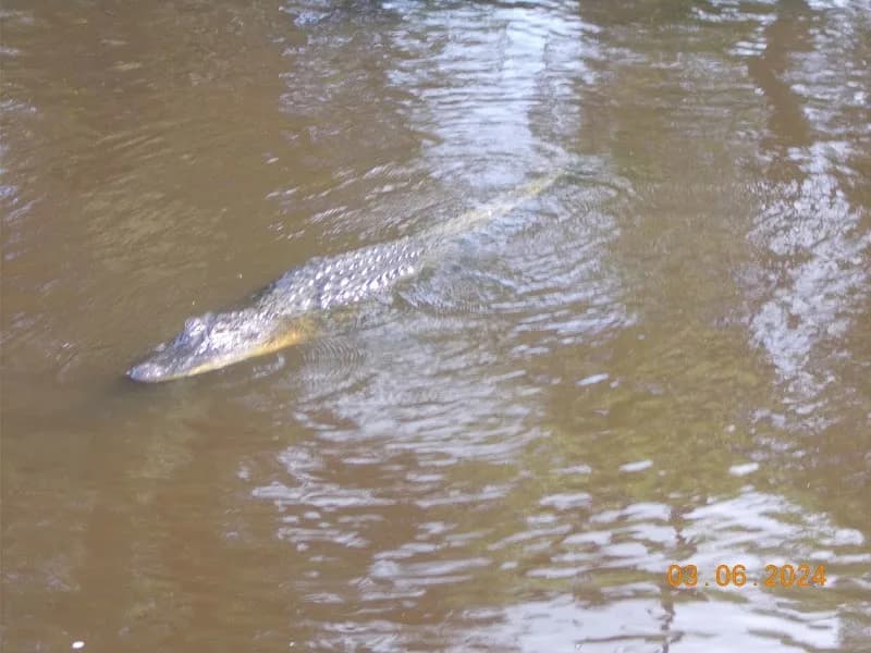 Travel Boutic - photo 3