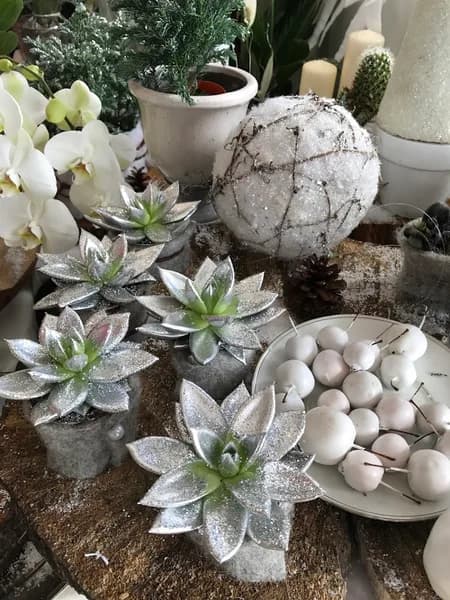 Vivre La Fleur - photo 3