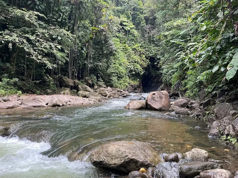 Cascades Guadeloupe - photo 2