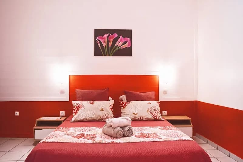 Gite Paradis Tropical - photo 2