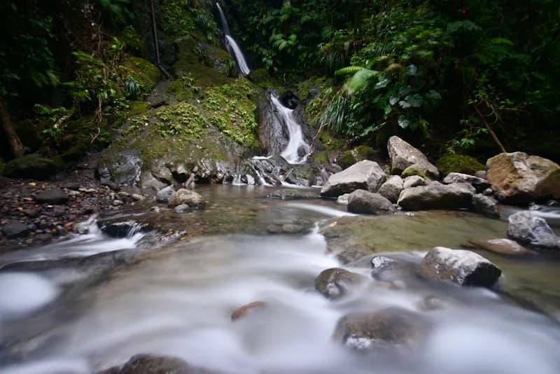 Restaurant Capesterre-Belle-Eau - photo 2