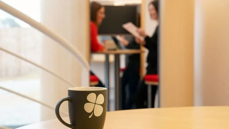 Ergos Antilles Basse Terre