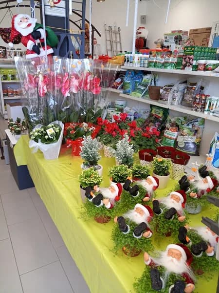 Gribouille et Cie - photo 2