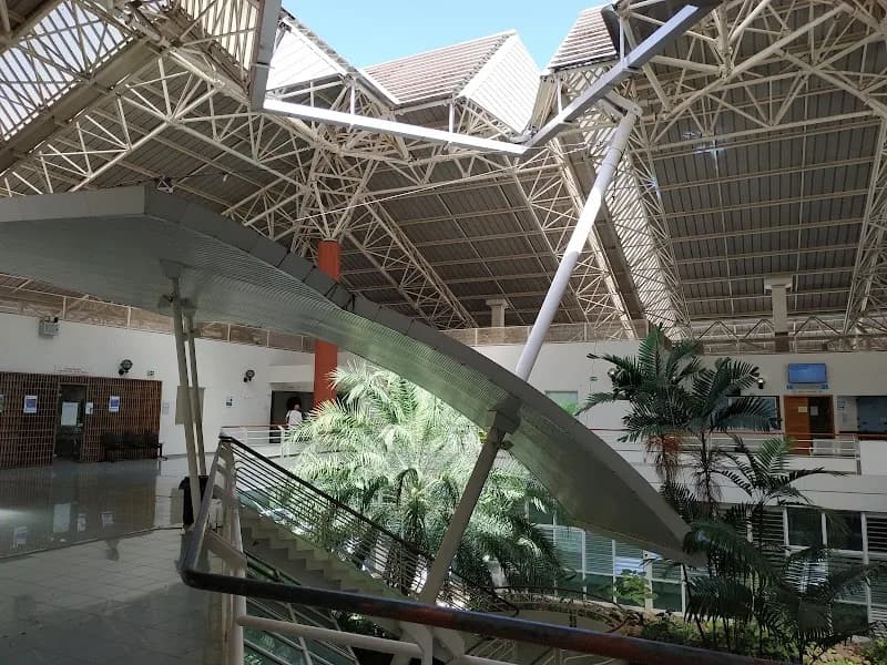 Hacquard Denis - photo 2