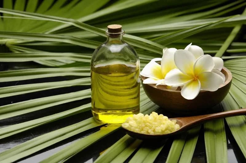 Institut Le Jardin d’Eden Basse-Terre