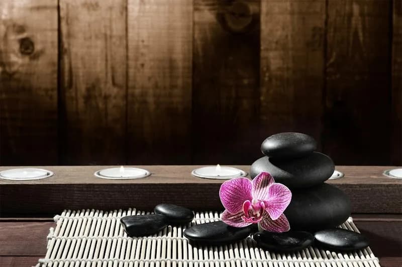 Institut Le Jardin d’Eden Basse-Terre - photo 2