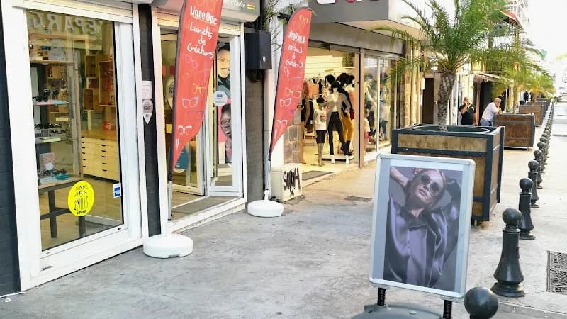 Ligne Optic - photo 2