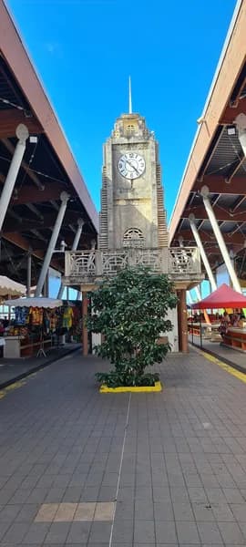 VD Négoce Basse-Terre