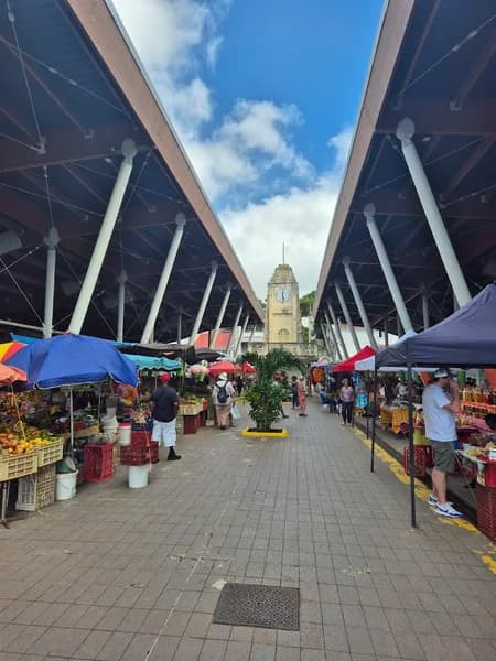 VD Négoce Basse-Terre - photo 2