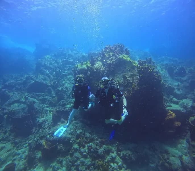 Alizée Plongée - photo 2