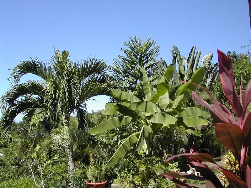 Gîte Bajapo Bouillante - photo 2