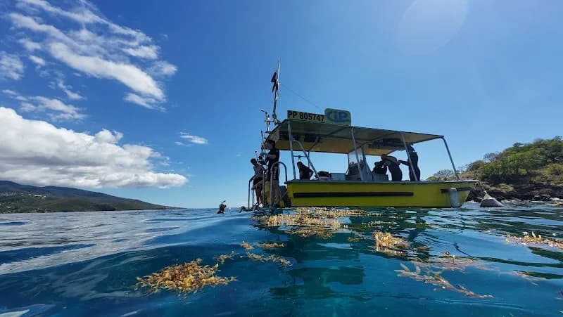 Cip Bouillante - photo 2