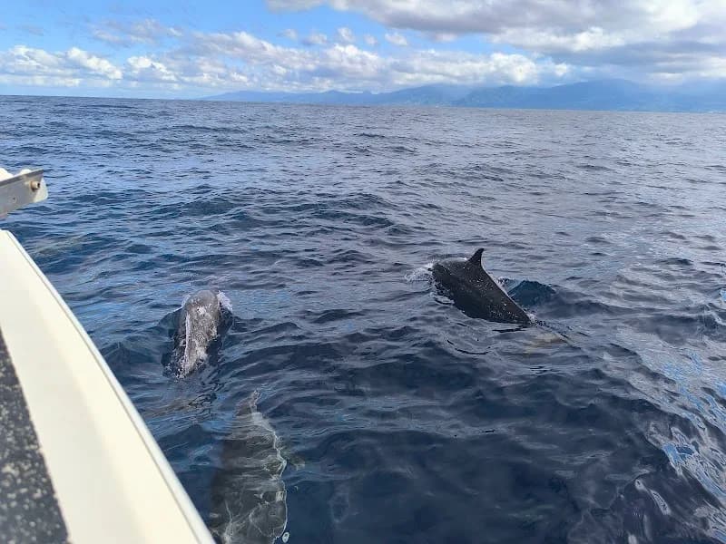 Musée Balen Ka Souflé Bouillante - photo 2