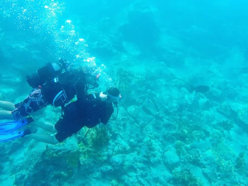 Plaisir Plongée Karukera Bouillante - photo 2