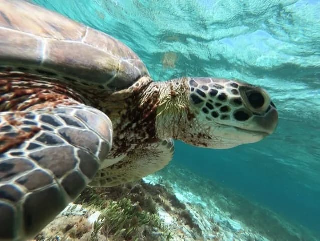 Plongée La Rand’Eau Bouillante