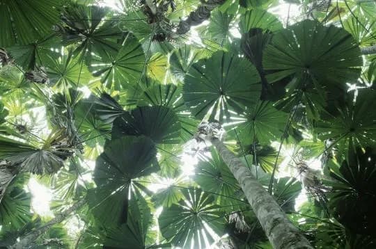 Combet Camille - photo 2