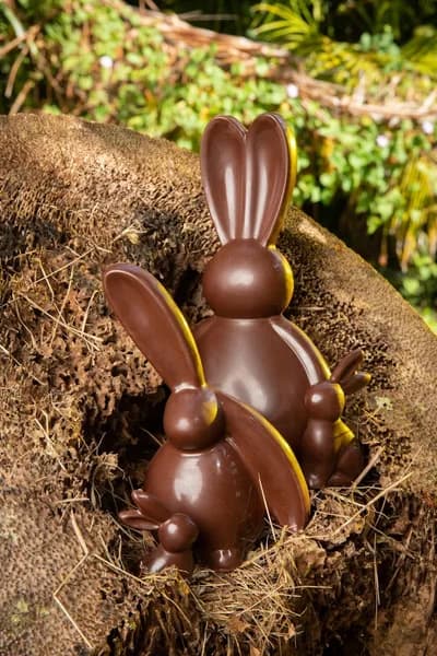 Maison Martino Capesterre Belle Eau