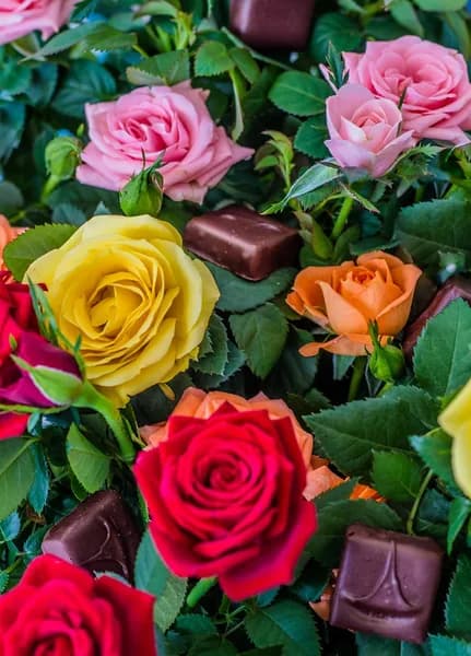 Maison Martino Capesterre Belle Eau - photo 2