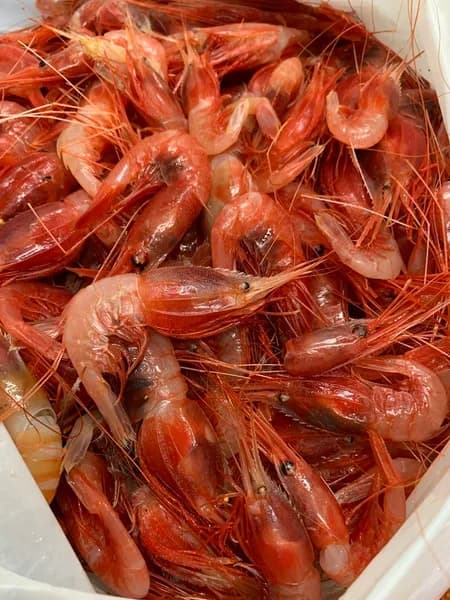 Auberge de la Roche d’Or - photo 2