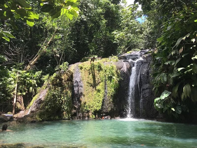 Balade en 4×4 Pelican Safari Tour - photo 2