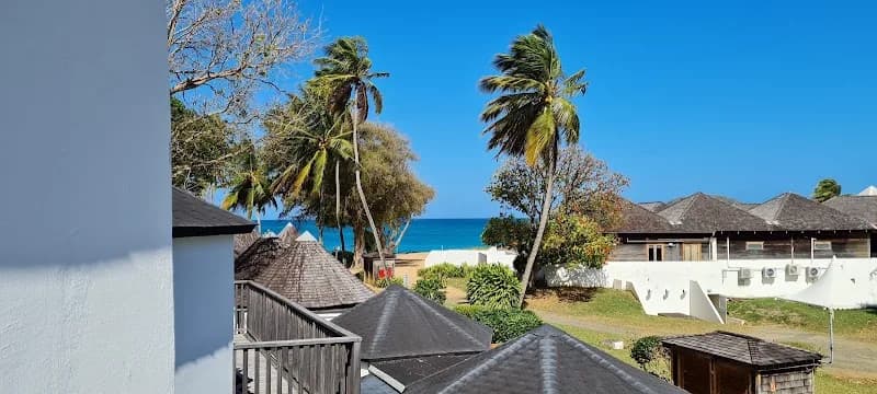 Consulat des Pays-Bas