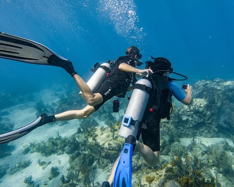 Ecole de Plongée Itinérante