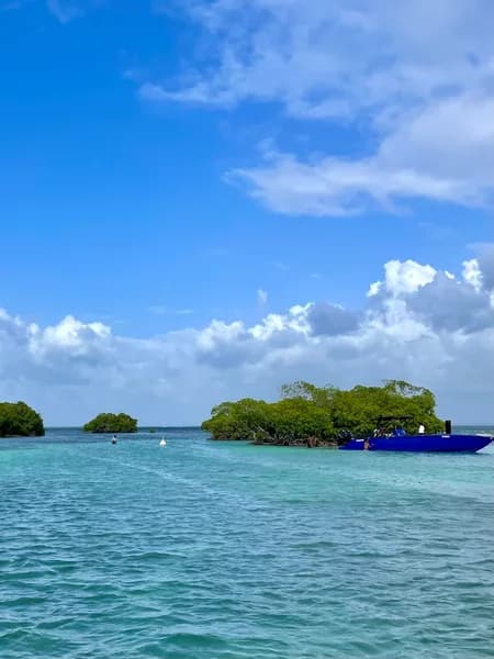 Excursion Bateau Coco Mambo Deshaies