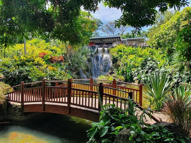 Jardin Botanique Deshaies - photo 2