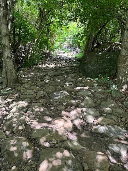 Restaurant Le Pain de Sucre Deshaies - photo 2