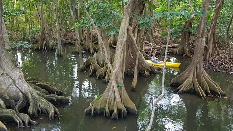 MKG Centre Nautique Deshaies