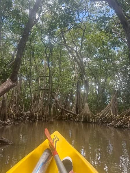 MKG Centre Nautique Deshaies - photo 2