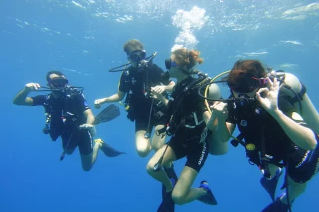 Plongée Blue Pearl Deshaies - photo 2