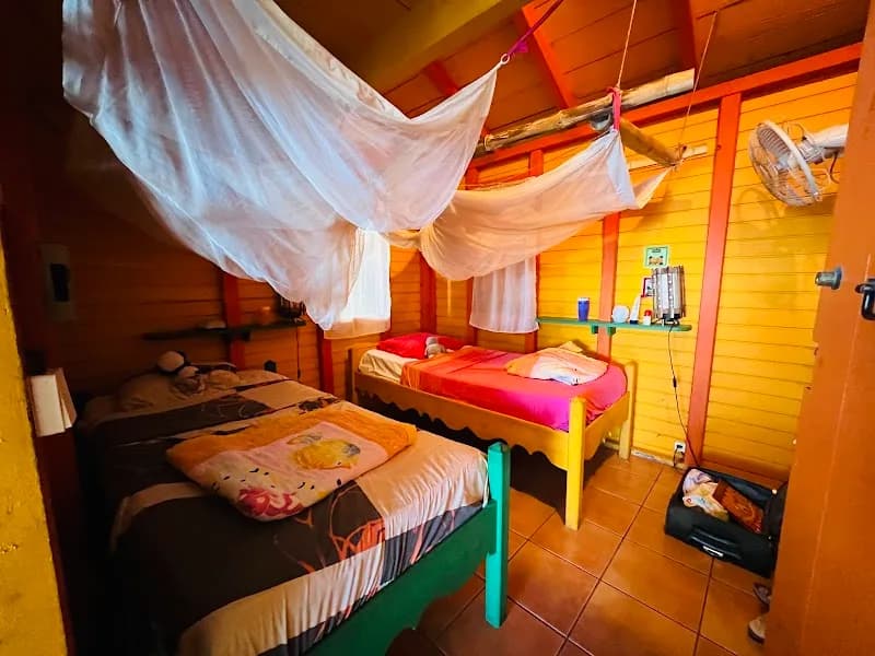 Tendacayou - photo 2