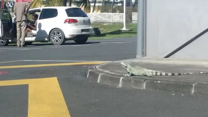 Belguedj Magdi - photo 2