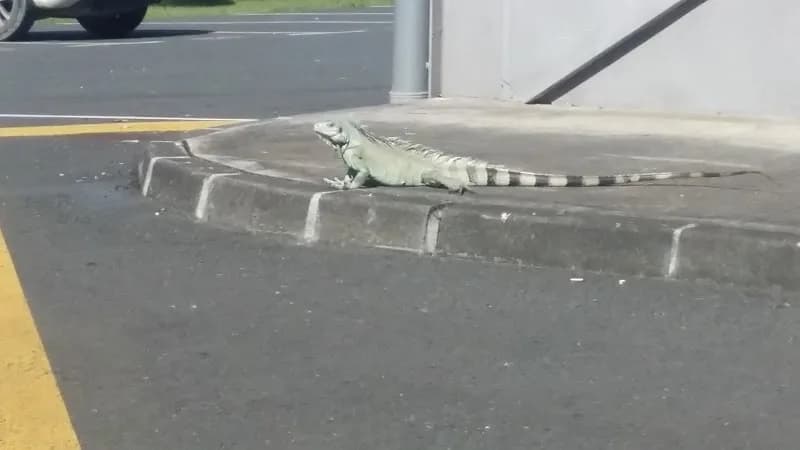 Belguedj Magdi - photo 4