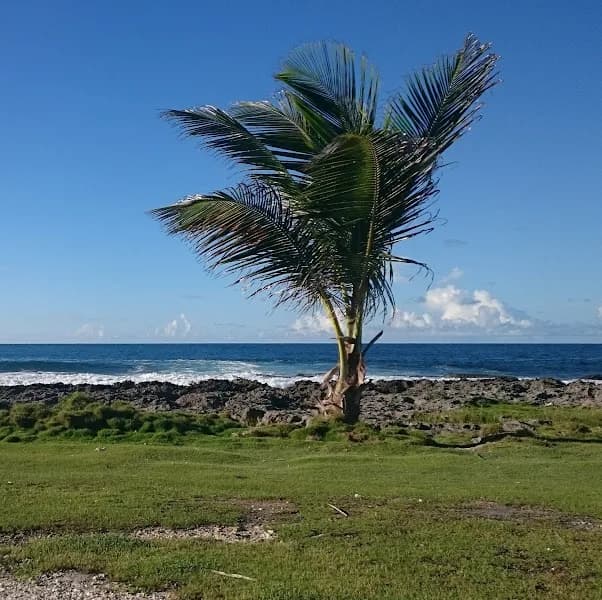 Big’N Chic Burger Gosier