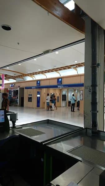 Bred Gosier - photo 4