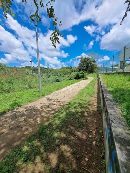 Collège Edmond Bambuck