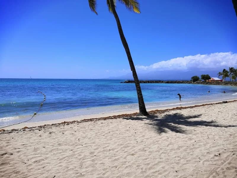 Diamant Sécurité Privée