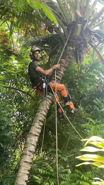 Elageur ArboTech - photo 4