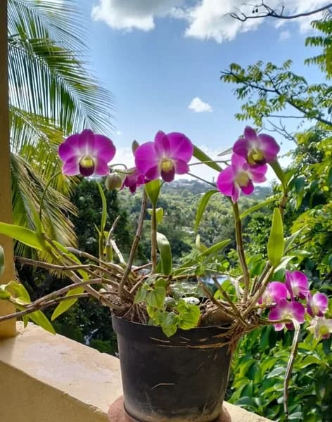 Entreprise Gueye - photo 2