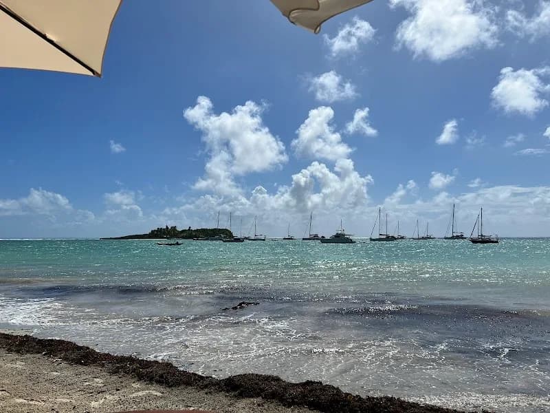 Food Truck Lambi La - photo 3