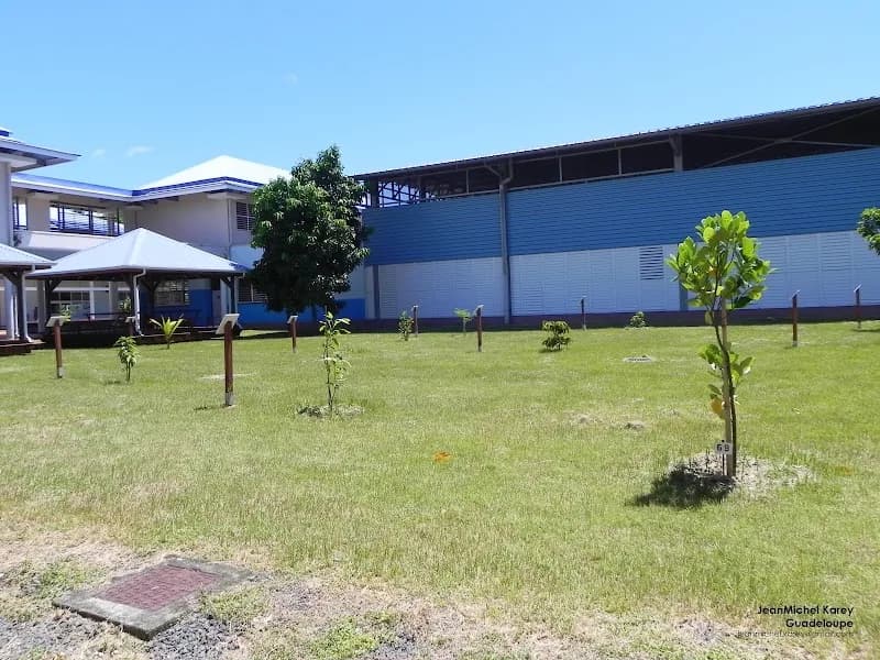 Halley Philippe - photo 3