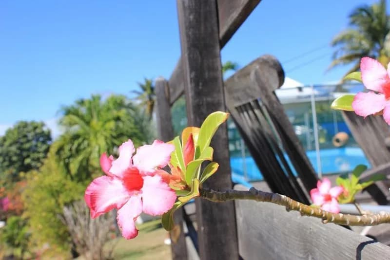 Hans Locations - photo 4