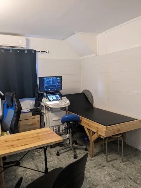 Havard Sandra - photo 4